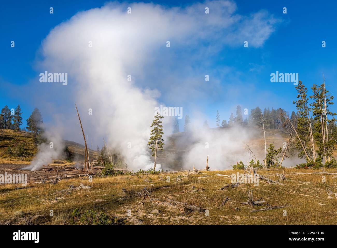 Dampfende Landschaft im Yellowstone-Nationalpark, Wyoming, USA Stockfoto