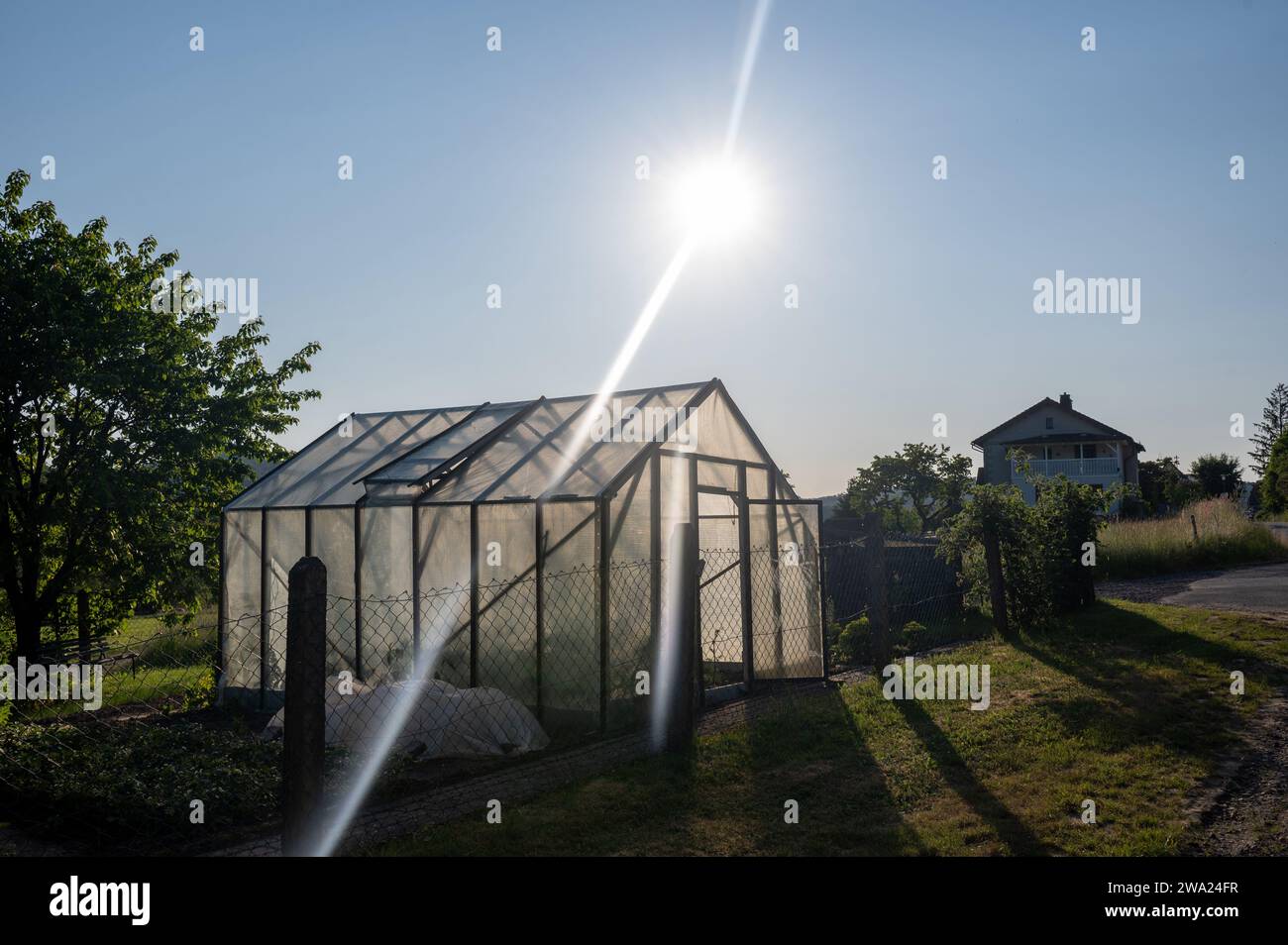 Gewächshaus in einem umzäunten Garten am Stadtrand mit heller Sonne und blauem Himmel Stockfoto