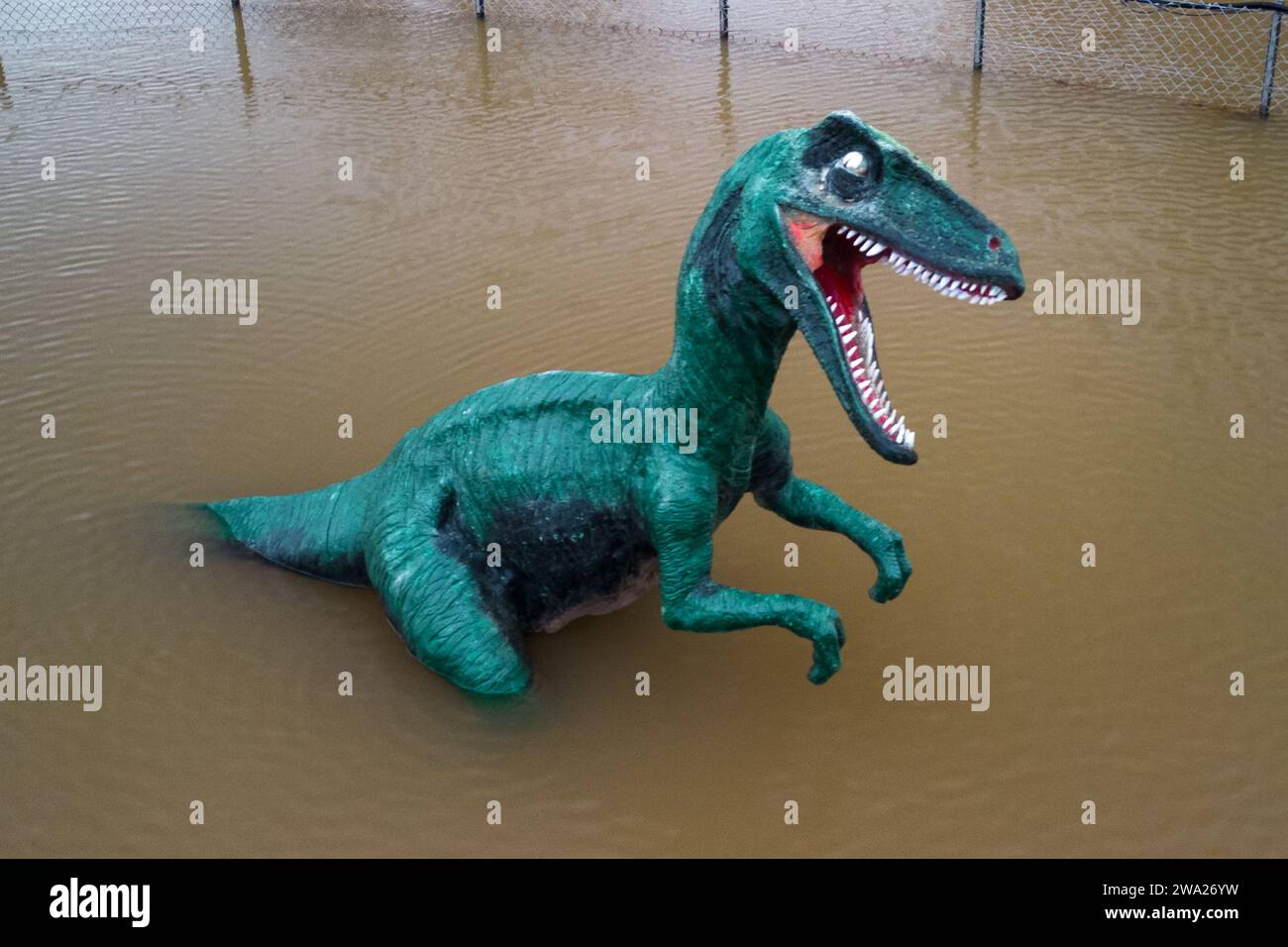 Stourport-on-Severn, Worcestershire, 1. Januar 2024 - Dennis der Dinosaurier hat nasse Knie. - Der Wasserstand stieg am Montag durch Stourport-on-Severn an, als Sturm Henk schwere Hochwasserwarnungen in Großbritannien brachte. Ein Modell eines Dinosauriers auf einem Minigolfplatz, von Einheimischen, die es als Höhenmessgerät verwenden, Dennis genannt, ist jetzt „Kniehöhe“ Geoffrey die Giraffe ist ebenfalls „Schulterhöhe“ in der Nähe. Ein Modell Zebra und Tiger konnte auch teilweise unter Wasser gesehen werden. Das Treasure Island Fair Ground ist heute mehr Insel wie früher. Quelle: Stop Press Media/Alamy Live News Stockfoto