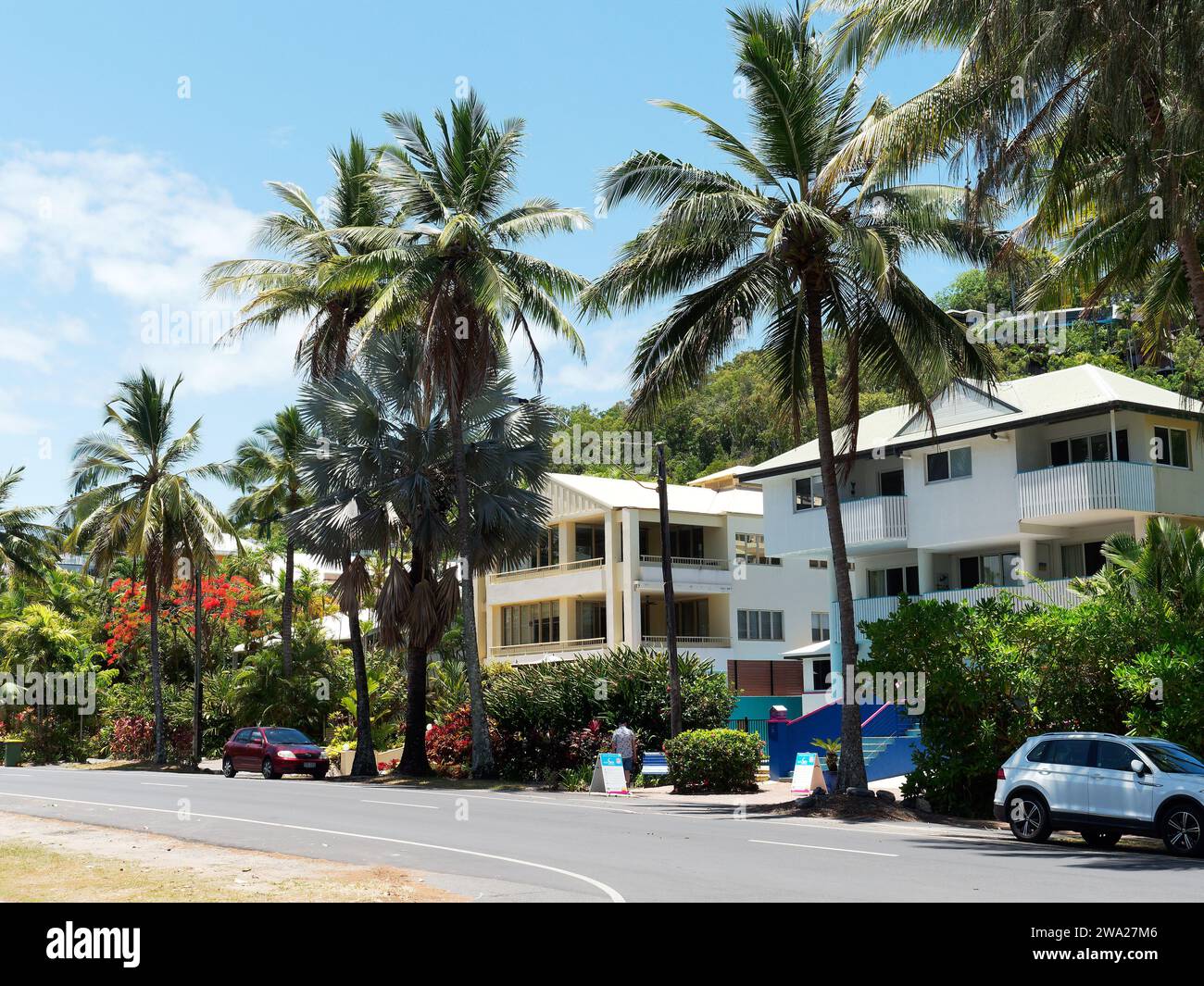 Blick auf die wunderschönen Häuser, Apartments und Palmen am Ende der Macrossan Street in der Nähe von Four Mile Beach in Port Douglas Queensland Australien Stockfoto