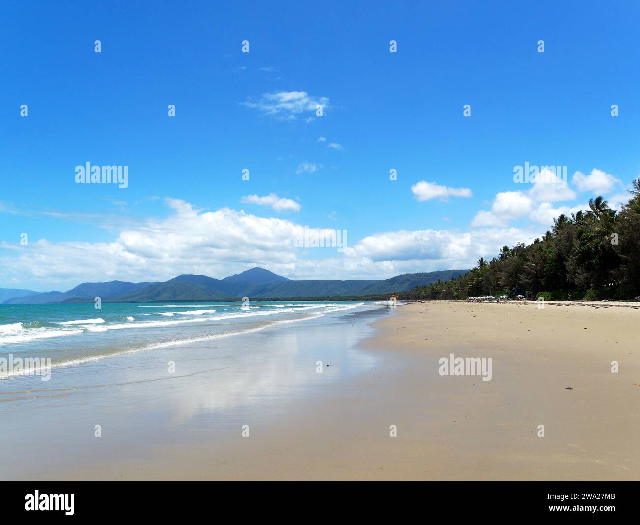 An einem hellen Frühlingstag im November sehen Sie den wunderschönen goldenen Sandstrand von Four Mile Beach in Port Douglas Queensland Australien Stockfoto