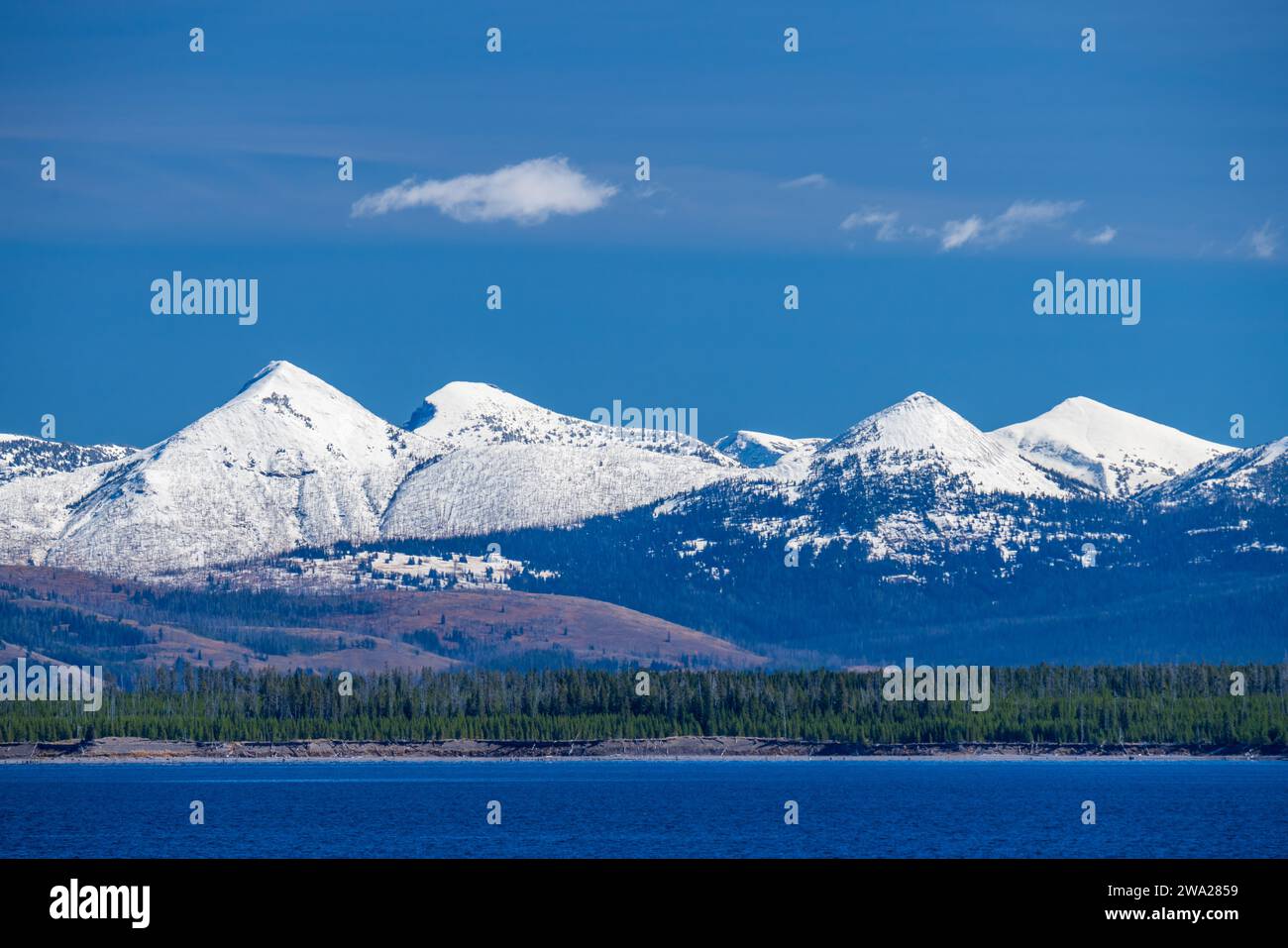 Die schneebedeckte Absaroka Mountain Range in East Yellowstone, Wyoming, USA. Stockfoto