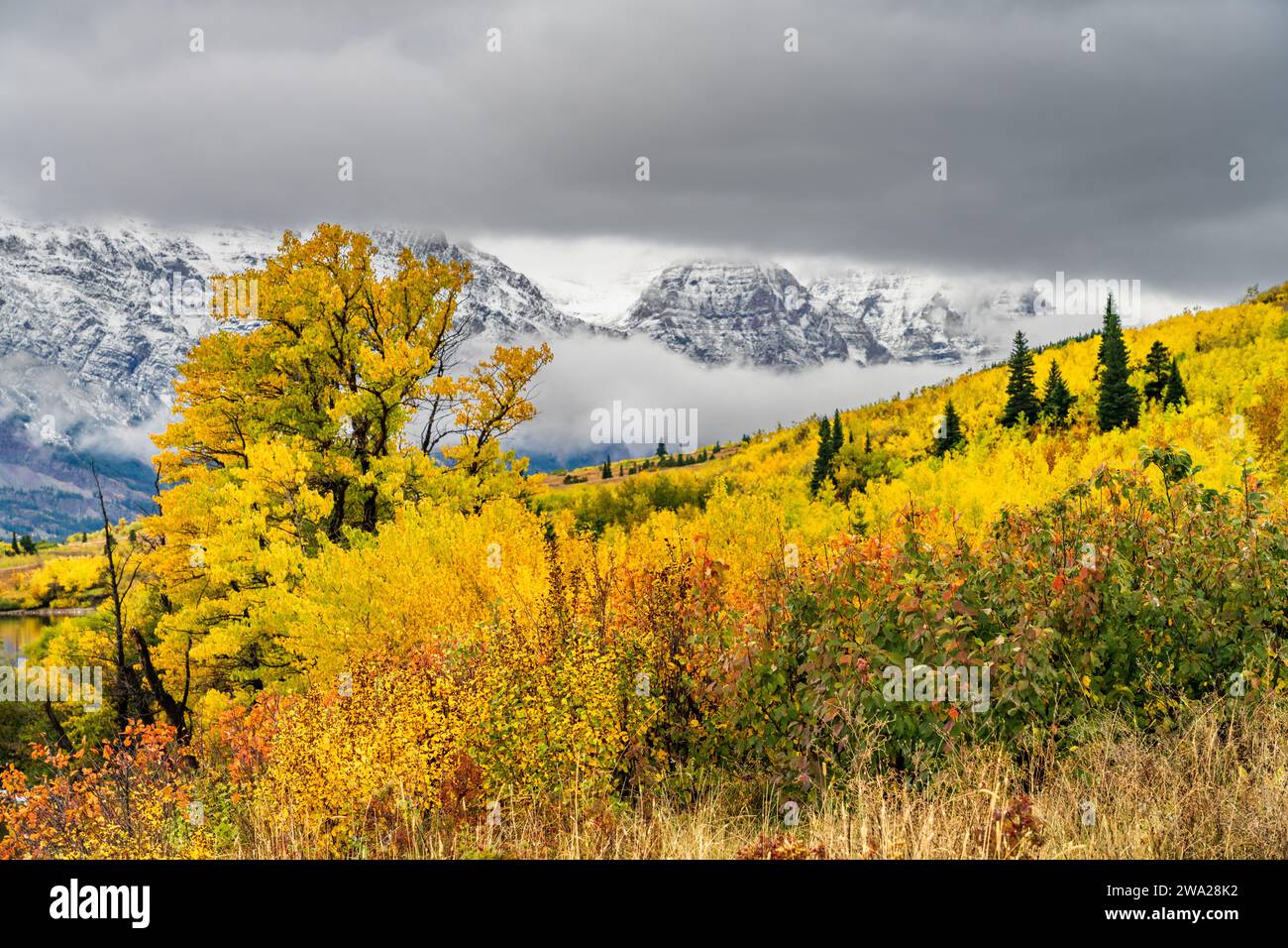 Herbstfarbe in der St. Marys östlicher Eingang zum Glacier National Park, Montana, UJSA. Stockfoto