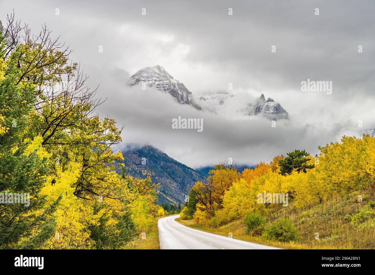 Die Herbstfarbe entlang der Going to the Sun Road im Glacier National Park, Montana, USA. Stockfoto