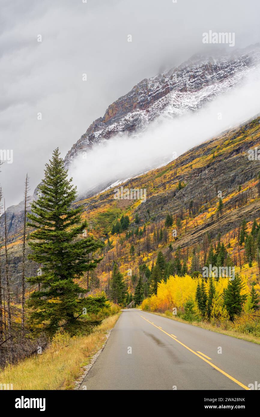 Die Herbstfarbe entlang der Going to the Sun Road im Glacier National Park, Montana, USA. Stockfoto