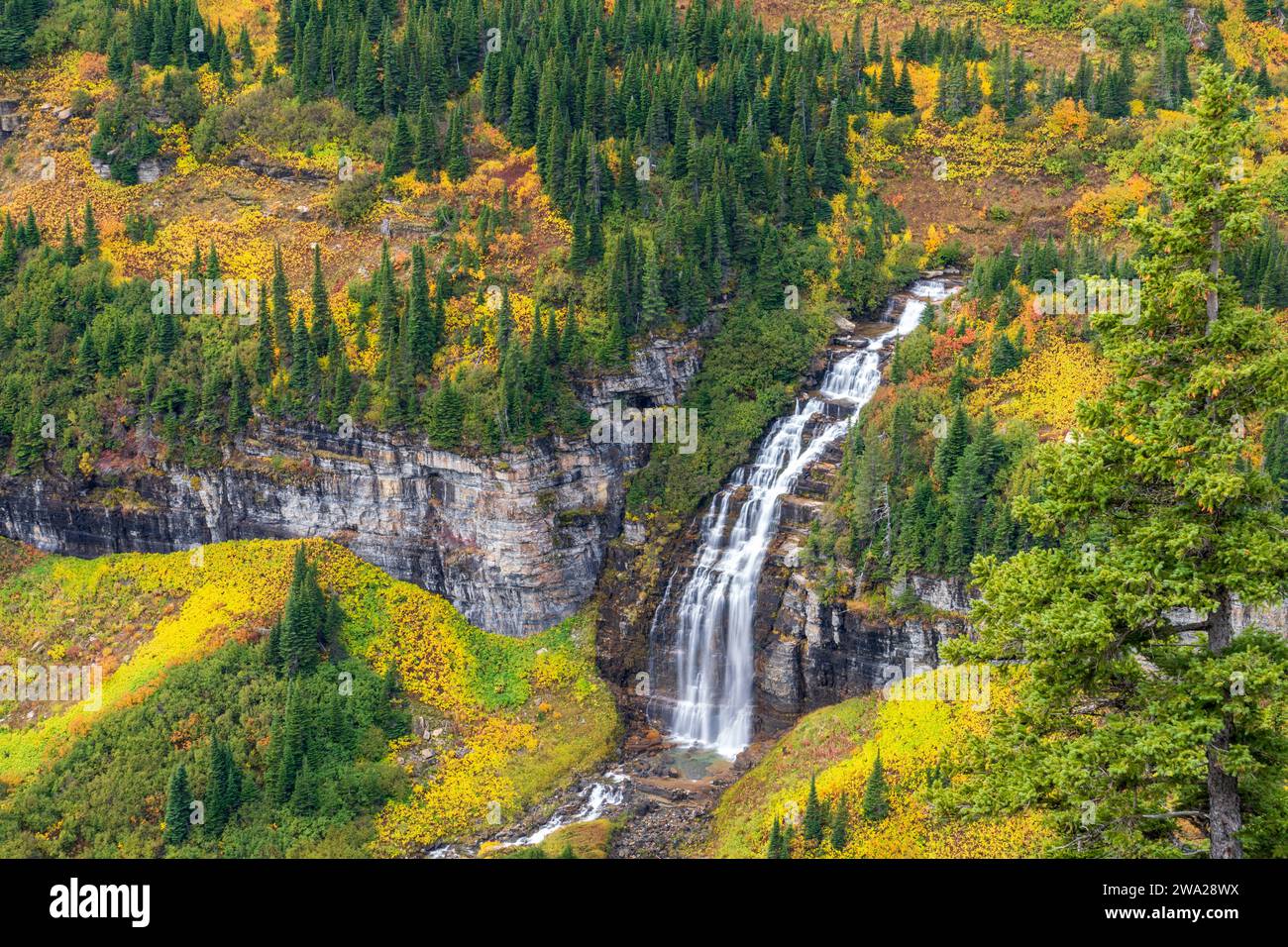 Ein Wasserfall am Straßenrand entlang der Sun Road, Logan Pass, Glacier National Park, Montana, USA. Stockfoto