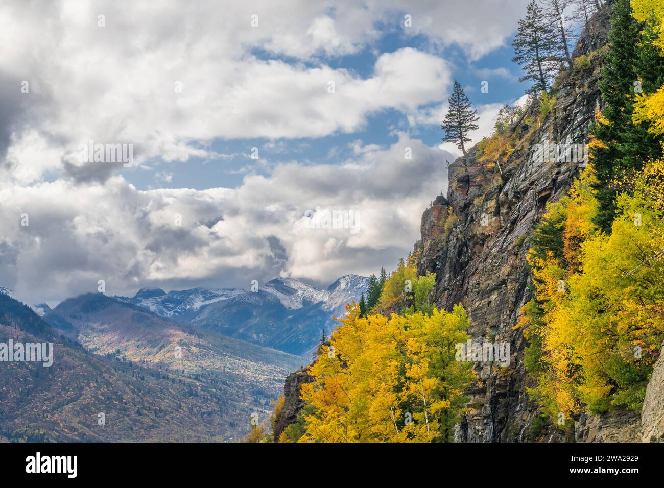 Die Herbstfarbe der Laubhügel entlang der Going to the Sun Road, Glacier National Park, Montana, USA. Stockfoto
