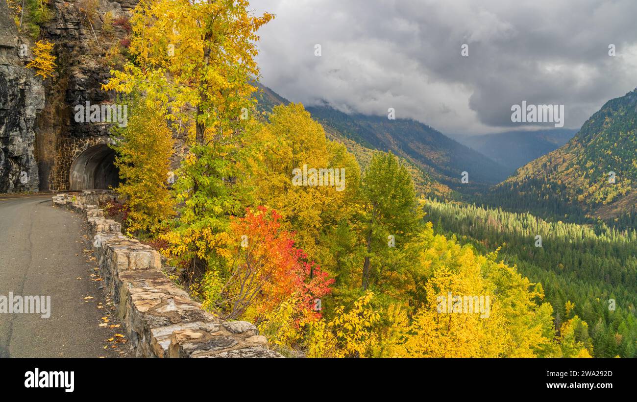 Die Herbstfarbe der Laubhügel entlang der Going to the Sun Road, Glacier National Park, Montana, USA. Stockfoto