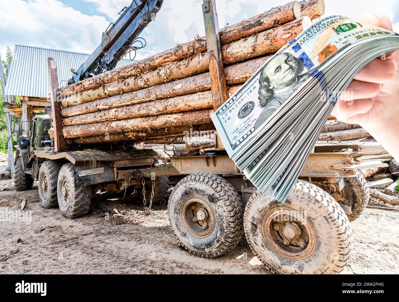Holzträger mit großen gesägten Stämmen am Holzlagerplatz. Forstwirtschaft Stockfoto