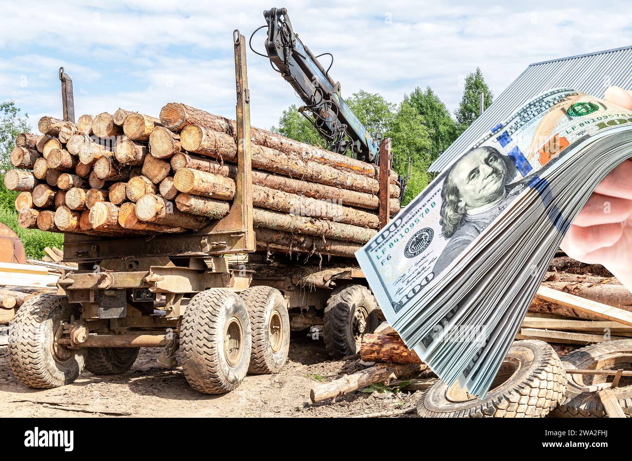 Holzträger mit großen gesägten Stämmen am Holzlagerplatz. Forstwirtschaft Stockfoto