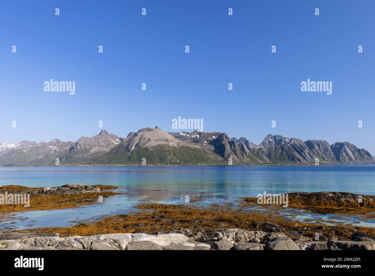 Die unberührte Landschaft der Lofoten zeigt ein Spektrum an Blautönen im Meer und Himmel, im Kontrast zu den zerklüfteten, schneebedeckten Bergen Stockfoto