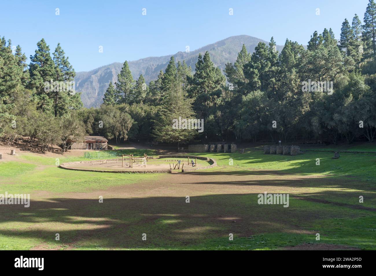 La Caldera Landschaft mit Kiefern in Aguamansa, Teneriffa, Spanien Stockfoto