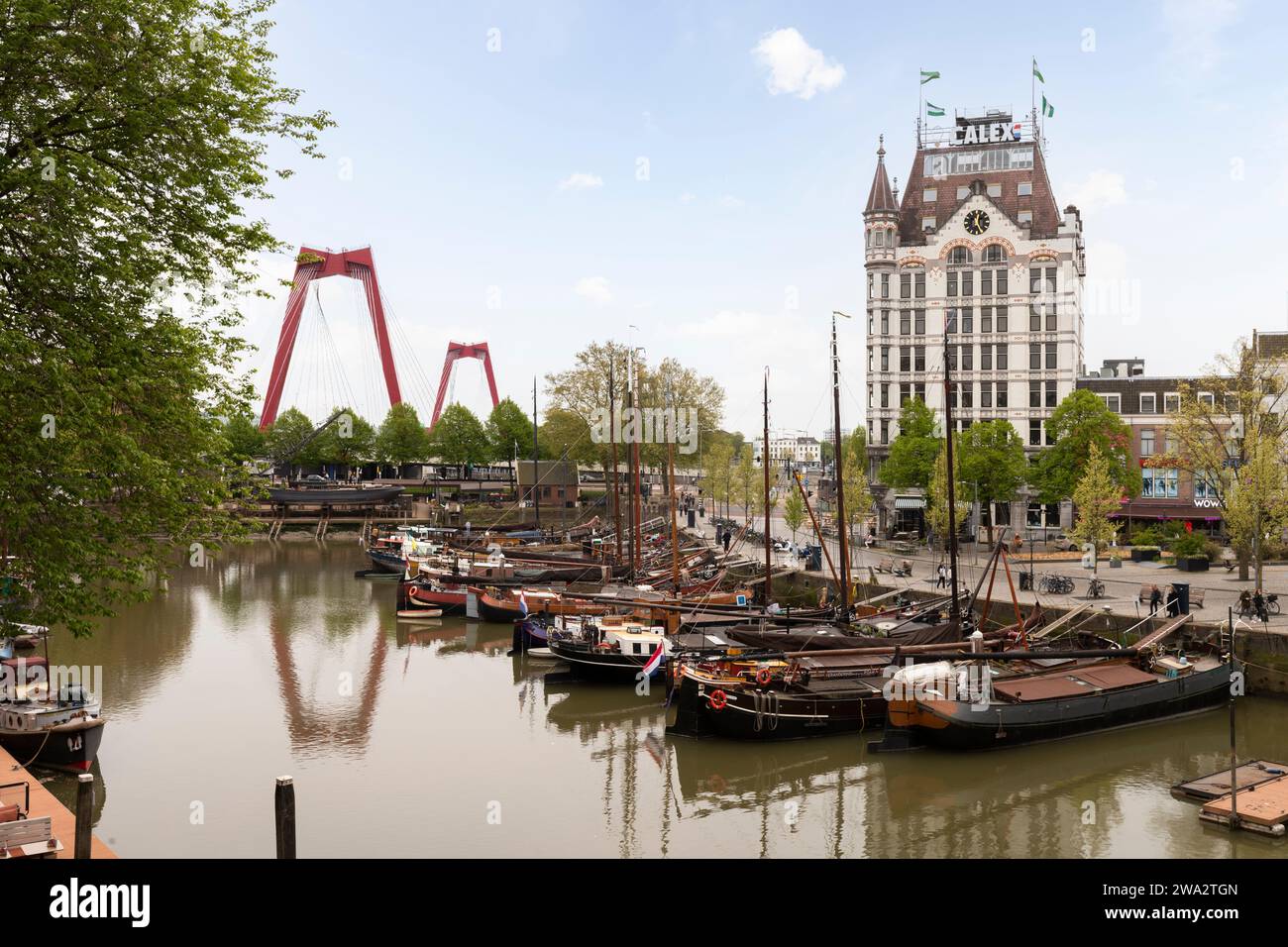 Oude Haven (Alter Hafen) mit dem Witte huis (Weißes Haus) und der Willemsbrug über dem Fluss de Maas im Zentrum von Rotterdam. Stockfoto