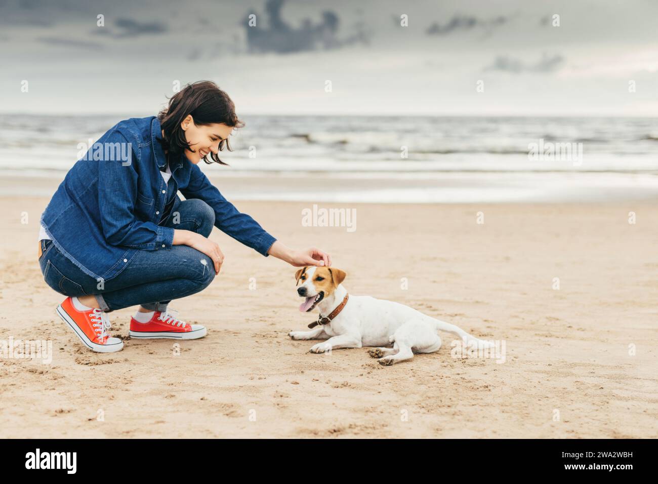 Frau in Denim hockt sich am Strand, schenkt ihrem fröhlichen Jack Russell Terrier eine Freude und zeigt eine Bindung zwischen Besitzer und Haustier Stockfoto