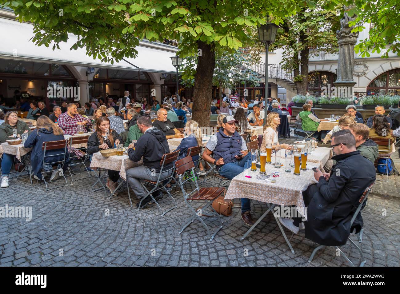 Einheimische und Touristen genießen das Bier im Biergarten im Hofbräuhaus im Zentrum von München. Stockfoto