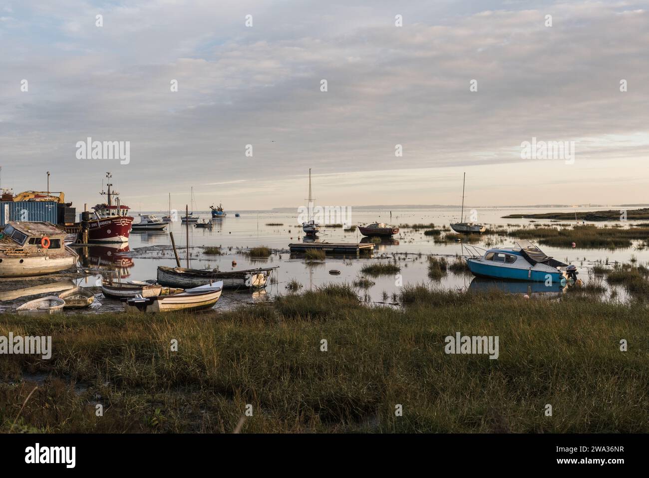 Vertäute Boote in Leigh on Sea, Essex bei Flut Stockfoto