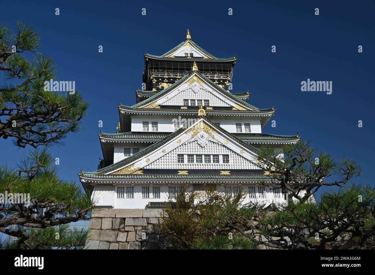 Burg von Osaka im Herbst Stockfoto