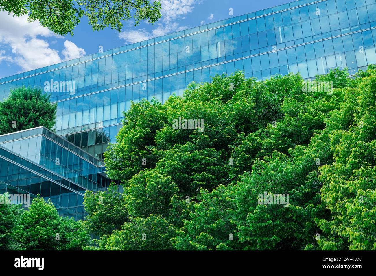 Umweltfreundliches Gebäude in moderner Stadt. Nachhaltiges Glasbürogebäude mit Bäumen zur CO2-Reduzierung. Grüne Architektur. Gebäude mit Grün Stockfoto