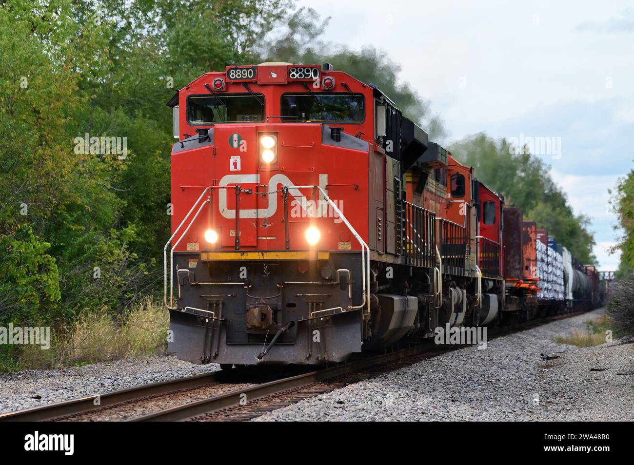 Wayne, Illinois, USA. Eine Lokomotive der Canadian National Railway führt einen Güterzug in südlicher Richtung durch den Nordosten von Illinois. Stockfoto
