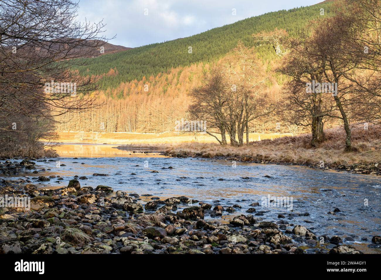 Fluss Cannich im Dezember. Glen Cannich, Highlands, Schottland Stockfoto