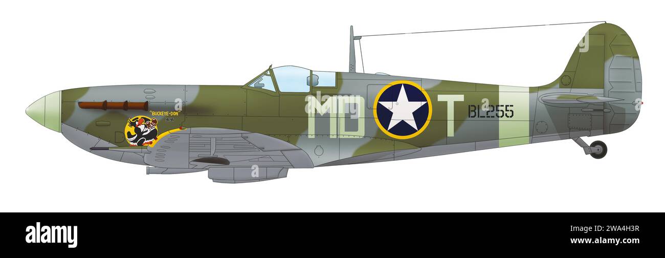 Supermarine Spitfire Mk Vb (BL255, Buckeye-Don) der 336th Fighter Squadron des 4th Fighter Wing USAAF, gesteuert von Don Gentile, September 1942 Stockfoto