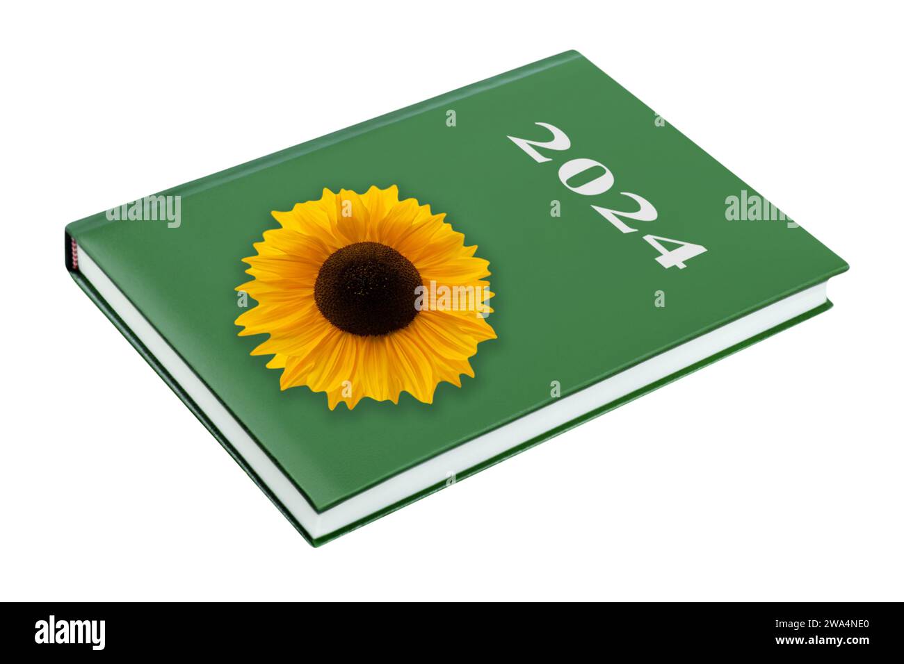 Grünes Kalenderbuch 2024 und Sonnenblume isoliert auf weißem Hintergrund Stockfoto