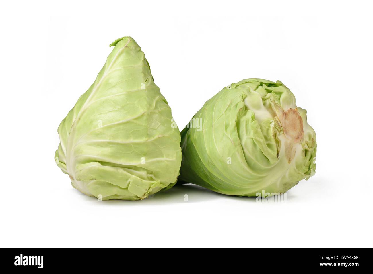 Zwei Spitzkohl auf weißem Hintergrund Stockfoto
