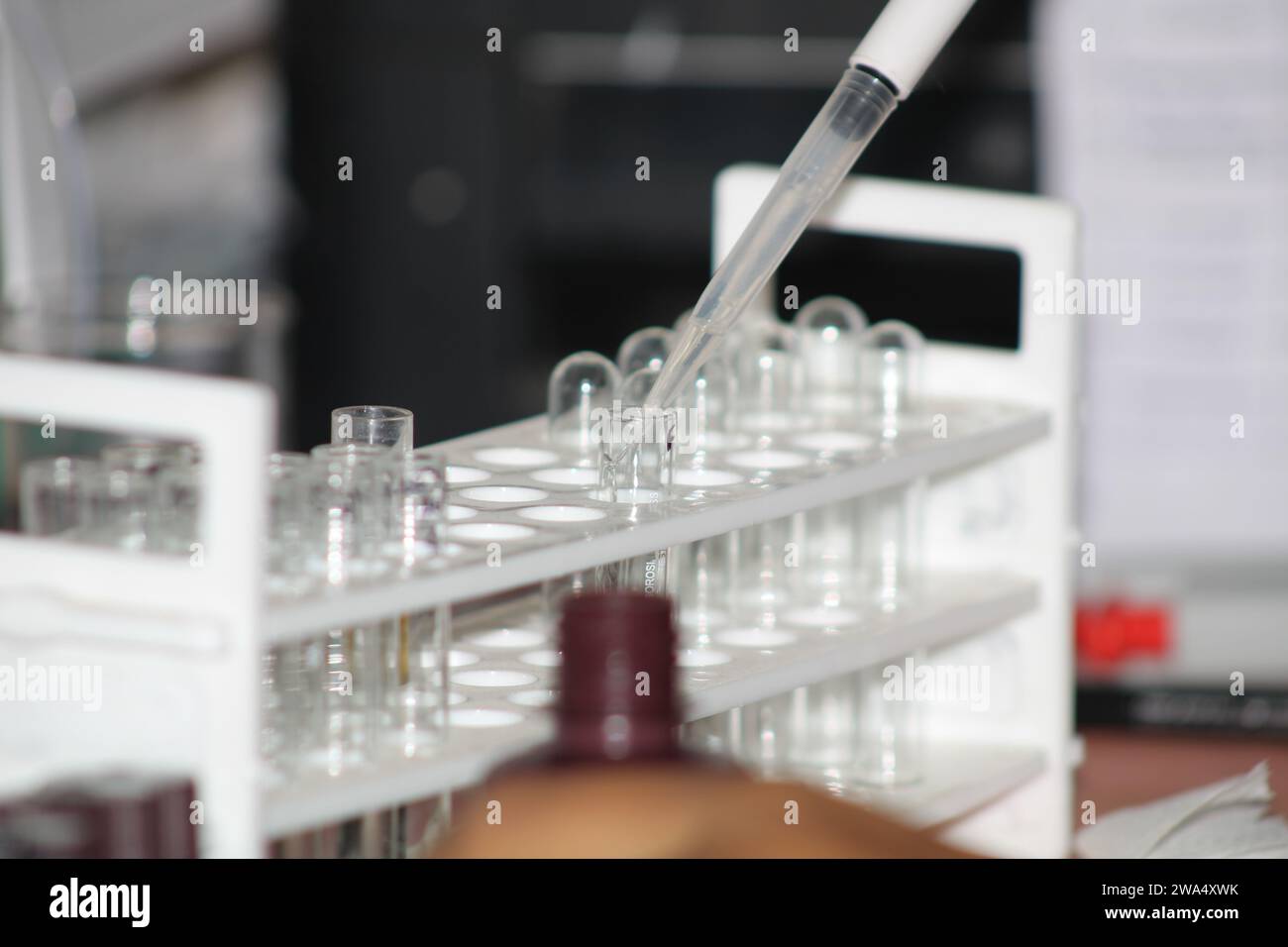 Die Nahaufnahme der Pipette ist Eine Art von Laborgebührengebühr, die häufig in der Chemie und Biologie verwendet wird. Selektiver Fokus. Indien Stockfoto