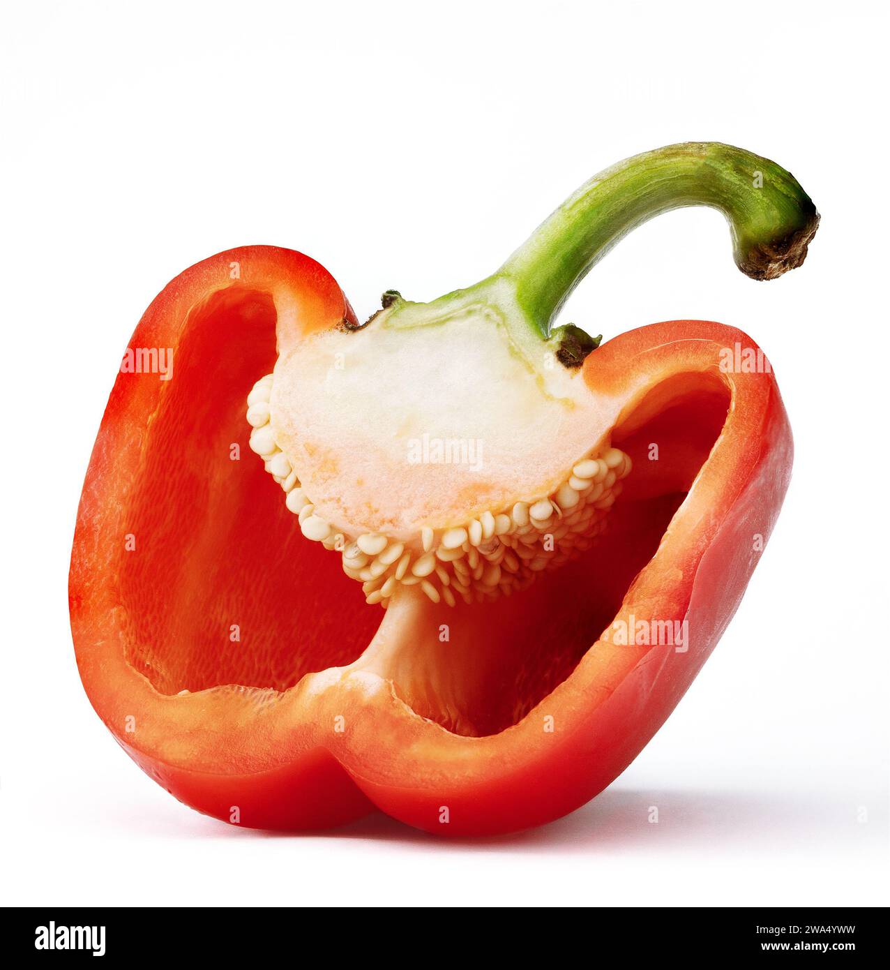 Gehackter roter Pfeffer, isoliert auf weißem Hintergrund. Stockfoto