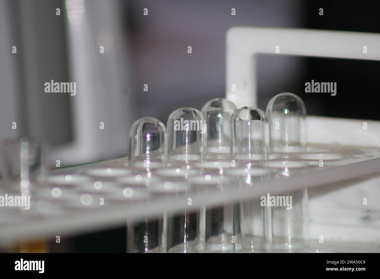 Reagenzglas Für Labor. Indien Stockfoto