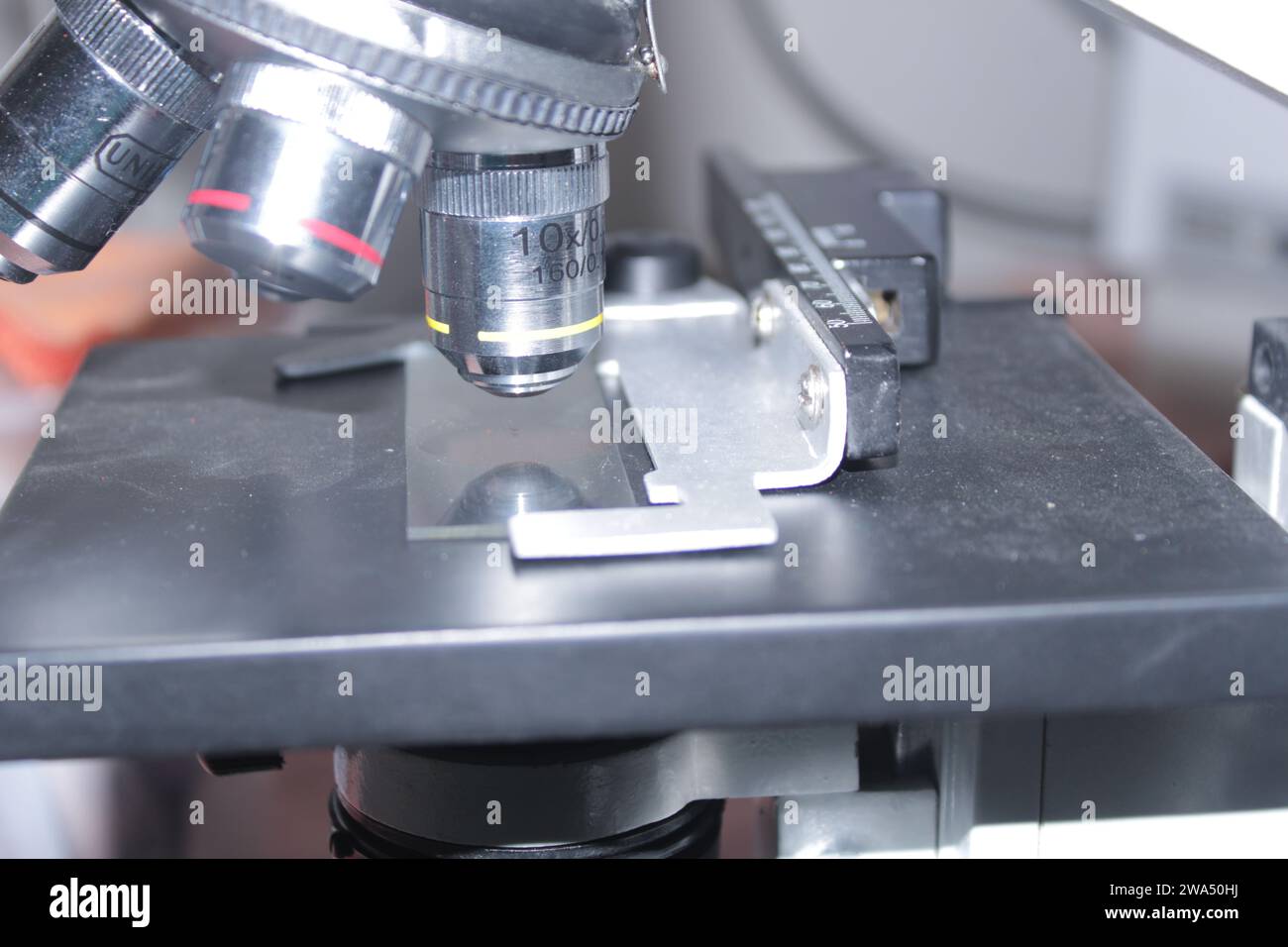 Clouse UP Mikroskop Objektiv. Indien Stockfoto