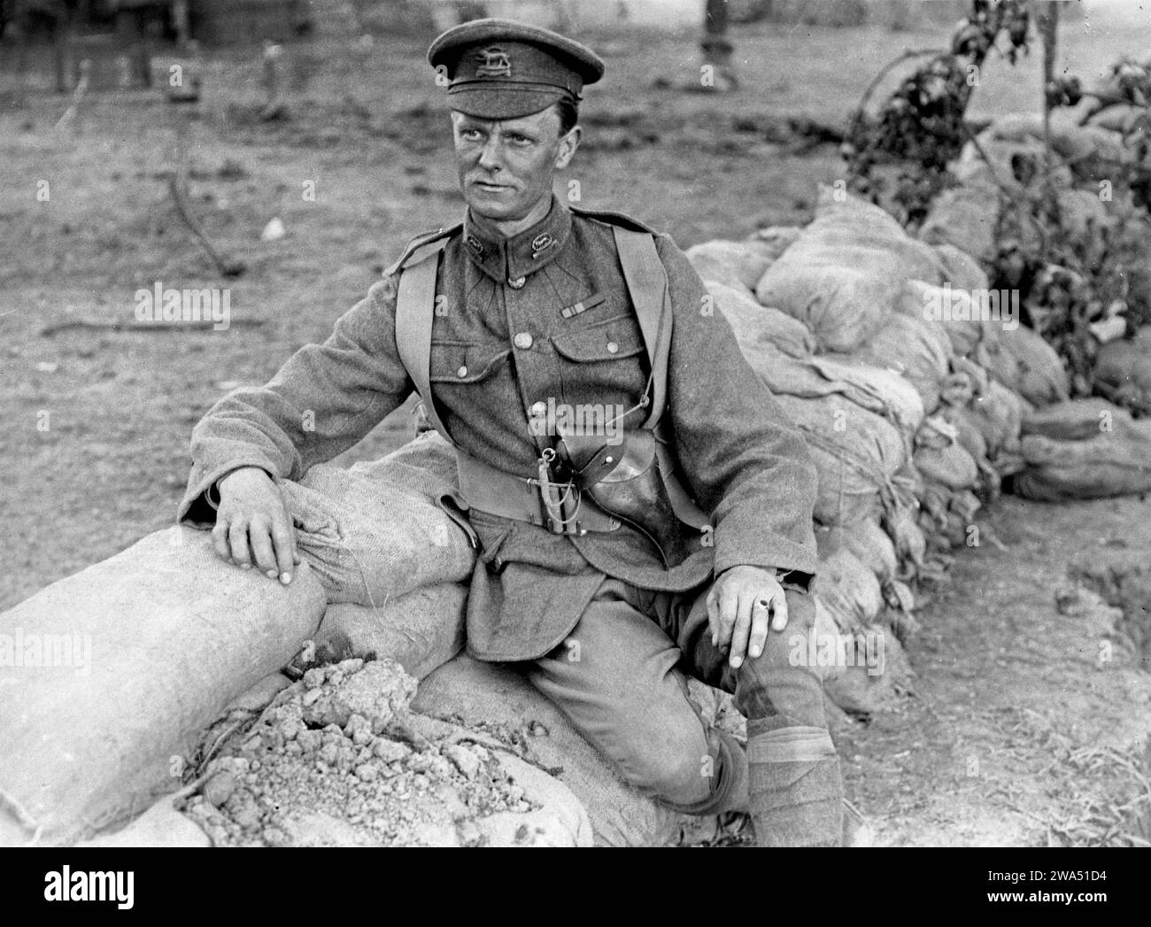 Major Cox der Leicester, der mit seinem Bataillon aus Indien nach Frankreich reiste (Leicester-Regiment, 2. Bataillon). Foto aus dem 1. Weltkrieg, aufgenommen 1915 in Frankreich von H. D. Girdwood. Dreiviertel Porträt in Uniform, auf Sandsäcken sitzend. Stockfoto