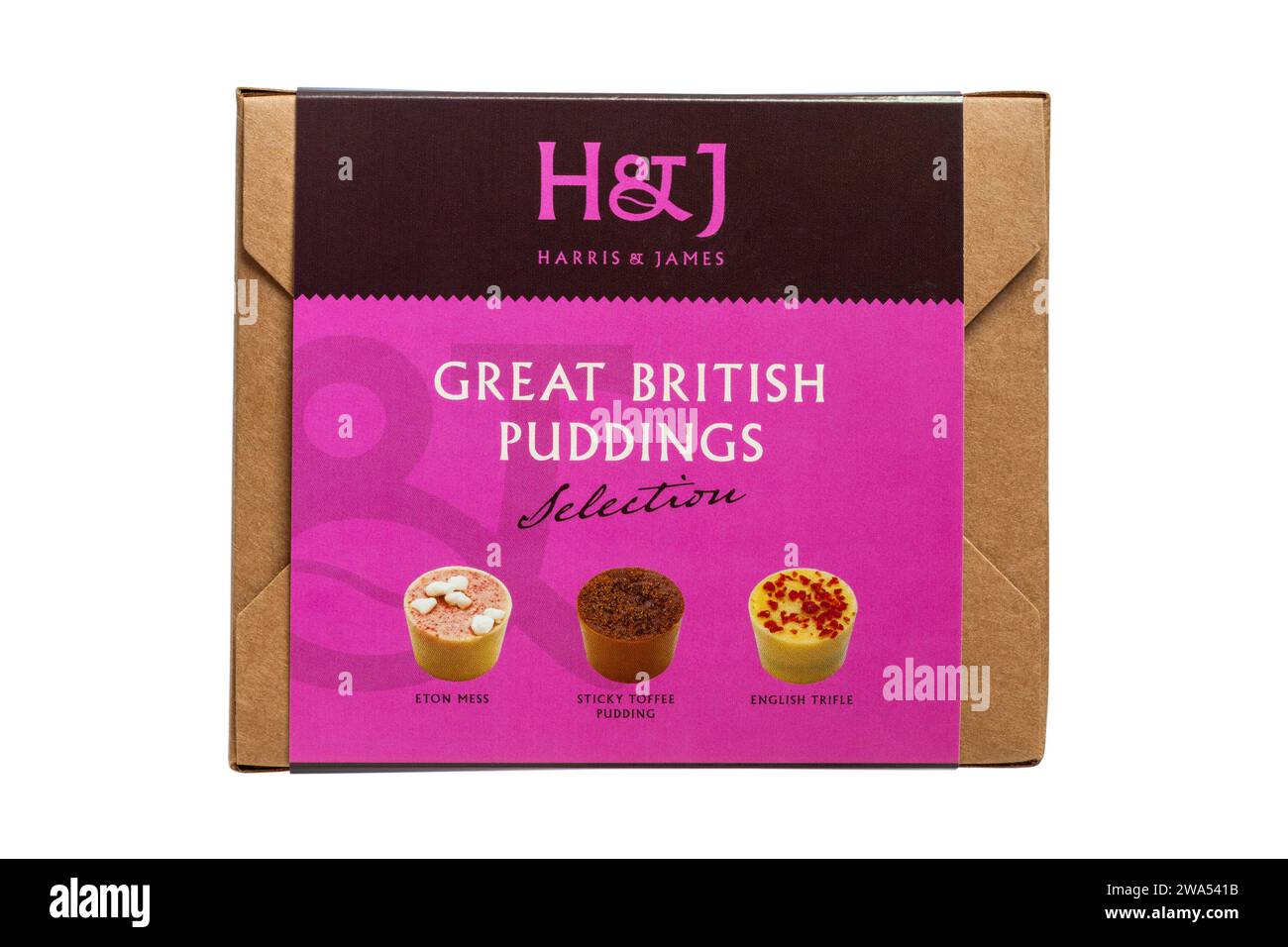 Schachtel mit H&J Harris & James Great British Puddings Selection Pralinen isoliert auf weißem Hintergrund - handgefertigt aus feinstem Kakao aus Bohnen Stockfoto