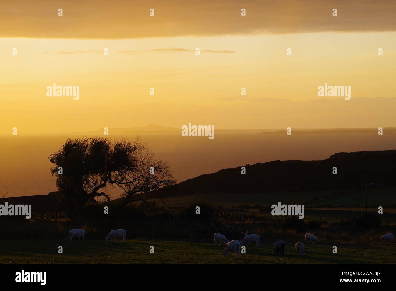 Sonnenuntergang über der Llyn Peninsular, N. Wales Stockfoto