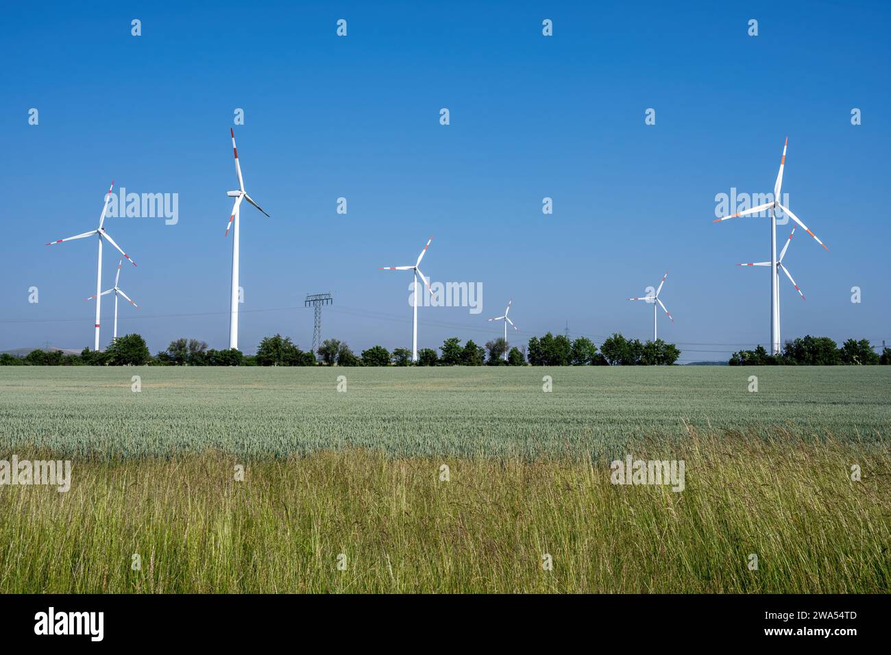 Windenergieanlagen in Getreidefeldern in Deutschland Stockfoto