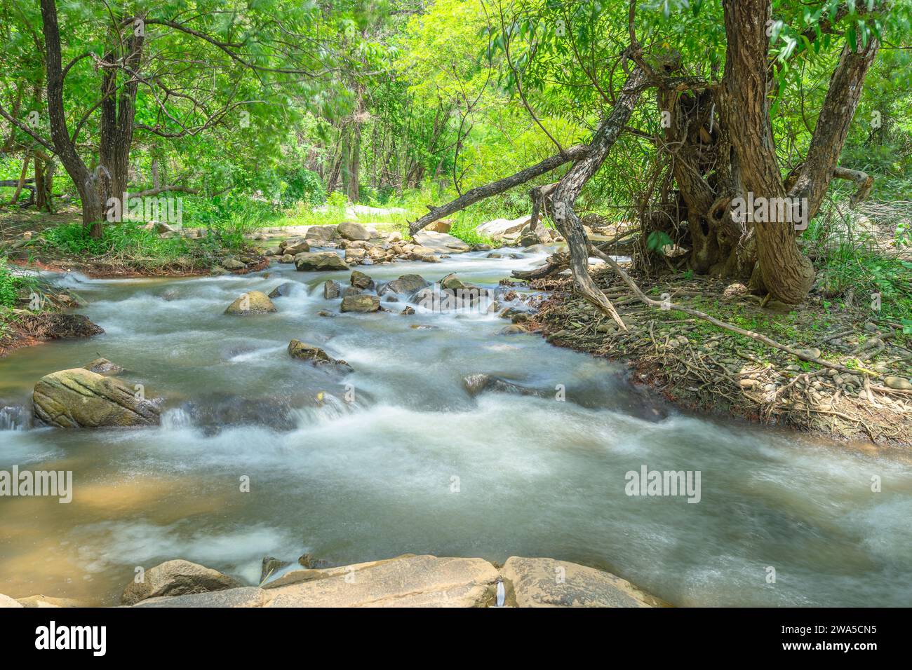 Wunderschöne Landschaft mit Wasserfällen im Khlong Wang Chao Nationalpark, Kamphaeng Phet, Thailand. Stockfoto