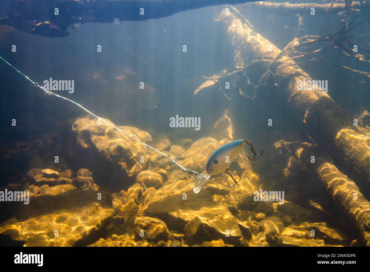 Ein dicker Wobbler schwimmt während des Angelns unter dem Wasser. Es simuliert die Fischproduktion. Sonnenlicht dringt durch die Wasserkammer Stockfoto