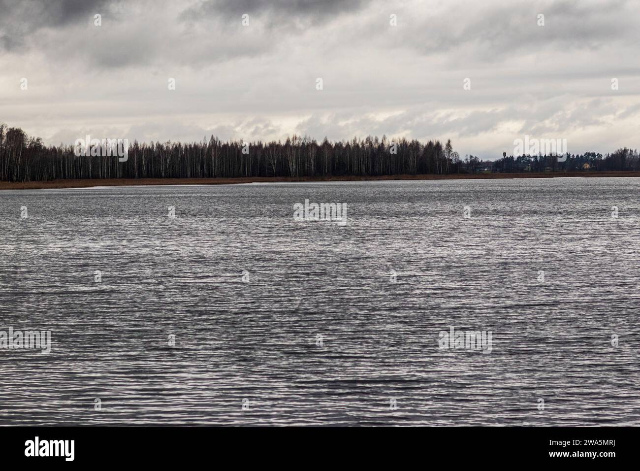 Landschaftsaufnahme des Sees während der kalten Jahreszeit Stockfoto