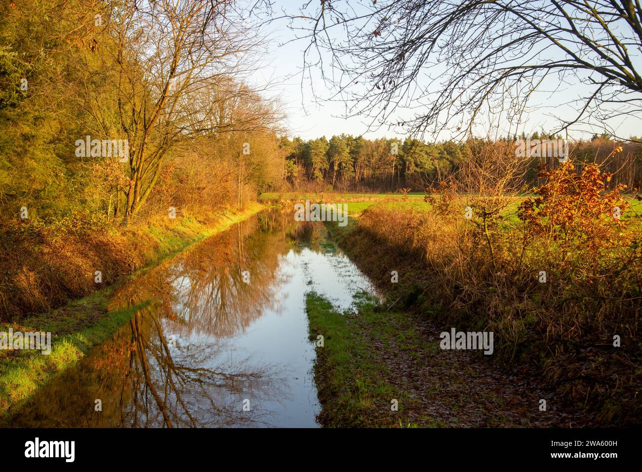 Überfluteter kleiner Kanal in Ackerland im Gelderland Stockfoto