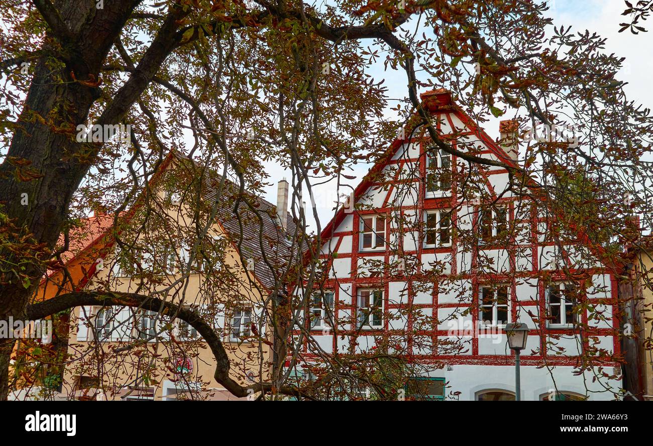 Blick durch Zweige zum romantischen Fachwerkhaus in Schwabach, Deutschland Stockfoto