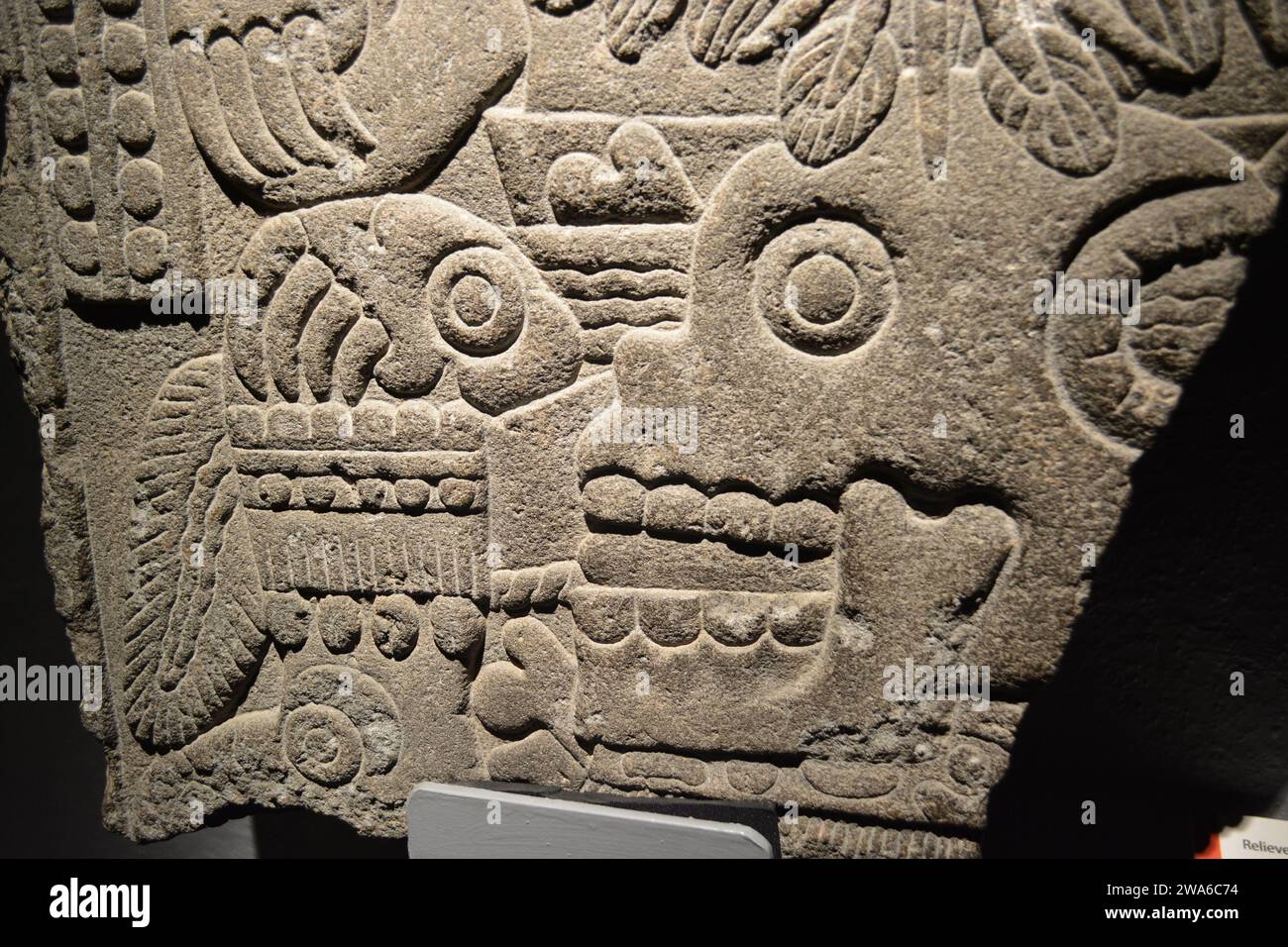 Relief in Stein für das Tlaltecuhtli Templo Mayor Museum in Mexiko-Stadt. Stockfoto