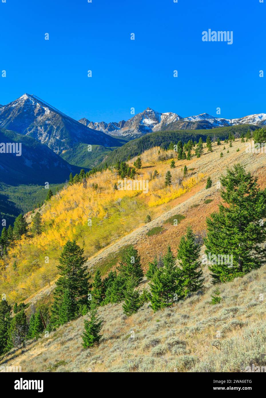 Herbstfarben im spanischen Gipfel der madison Range in der lee metcalf Wildnis nahe gallatin Gateway, montana Stockfoto