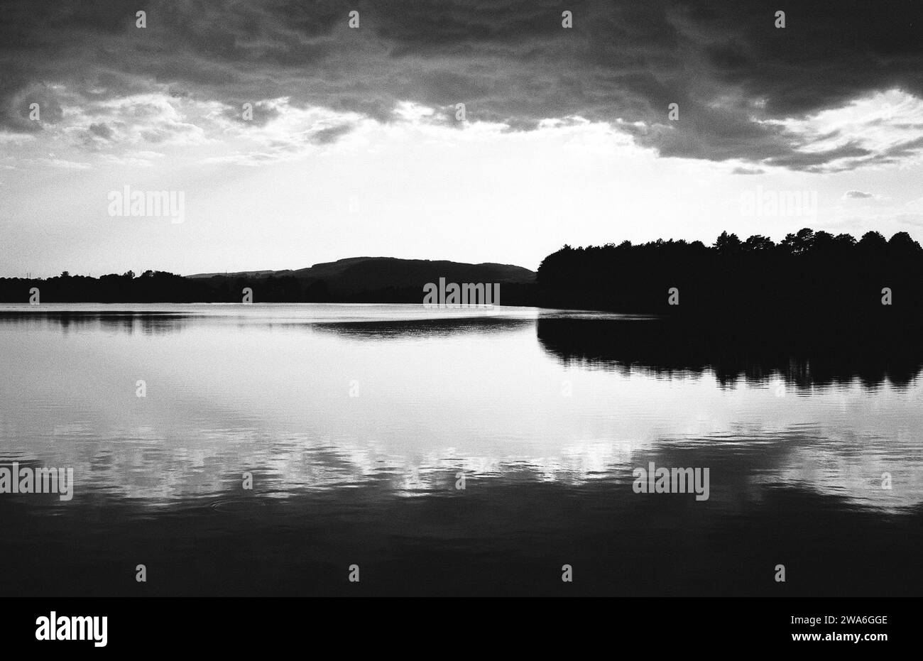 Reflexionen im Milngavie Reservoir in Mugdock, Glasgow (Schwarz-weiß-analog, Ilford Pan F) Stockfoto