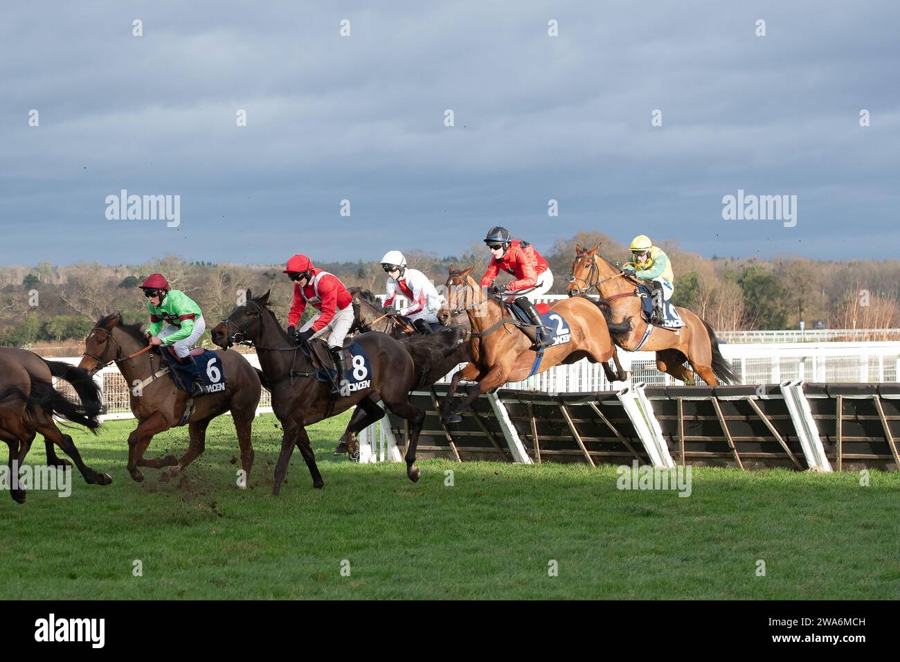 Ascot, Berkshire, Großbritannien. Dezember 2023. Fahrer beim Howden Conditional Jockeys' Handicap Hürdenrennen auf der Ascot Racecourse am Howden Christmas Racing Weekend. Kredit: Maureen McLean/Alamy Stockfoto