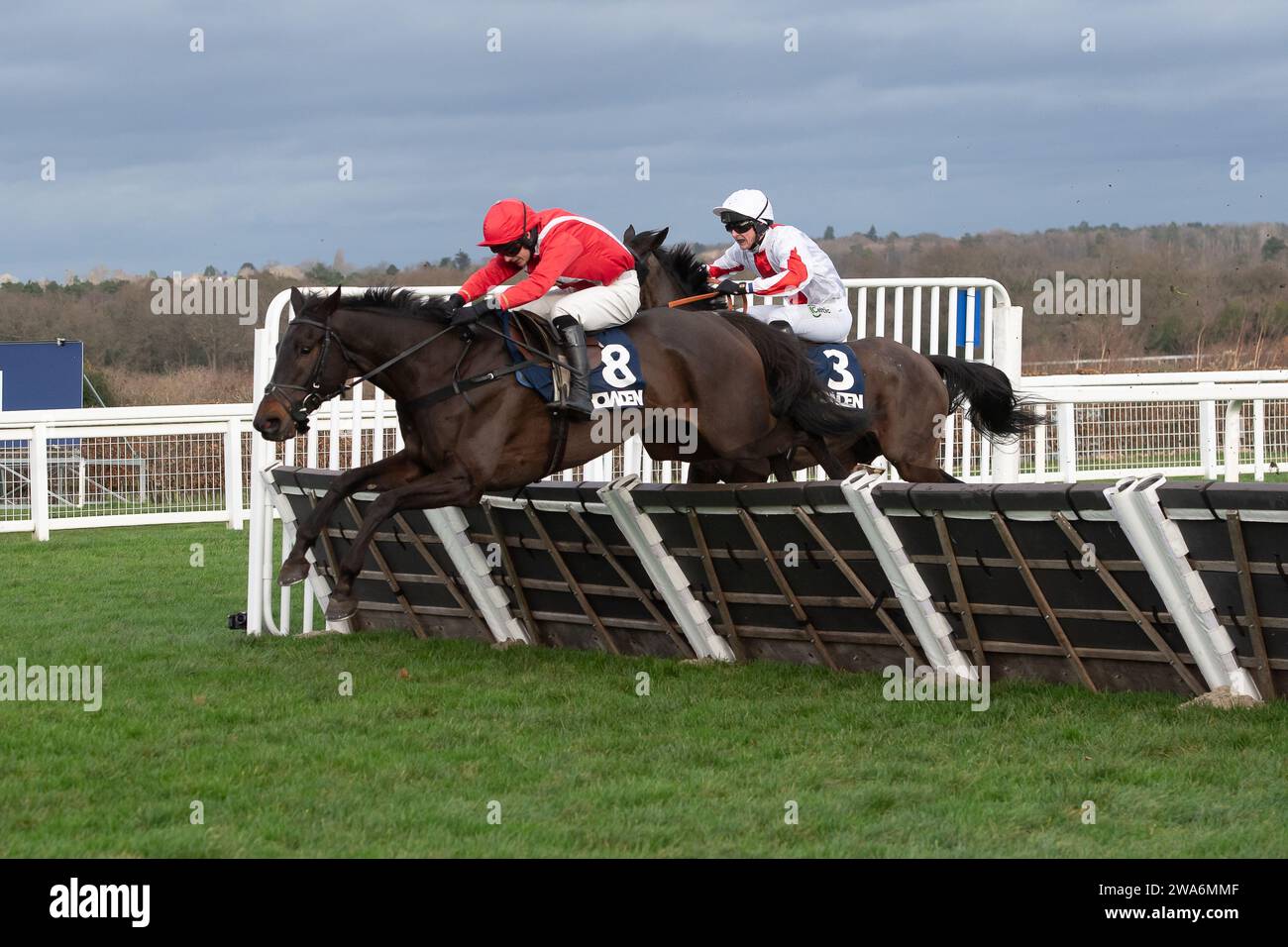 Ascot, Berkshire, Großbritannien. Dezember 2023. Horse Delgany Bobby Blue, geritten von Jockey Tristan Durrell, ist beim Howden Conditional Jockeys' Handicap Hürdenrennen auf der Ascot Racecourse am Howden Christmas Racing Weekend der letzten. Besitzer Charles und Rachel Wilson. Trainer Dan Skelton, Alcester. Sponsor Ladbrokes, Air Ambulance Service (Warwickshire & Northampton). Kredit: Maureen McLean/Alamy Stockfoto