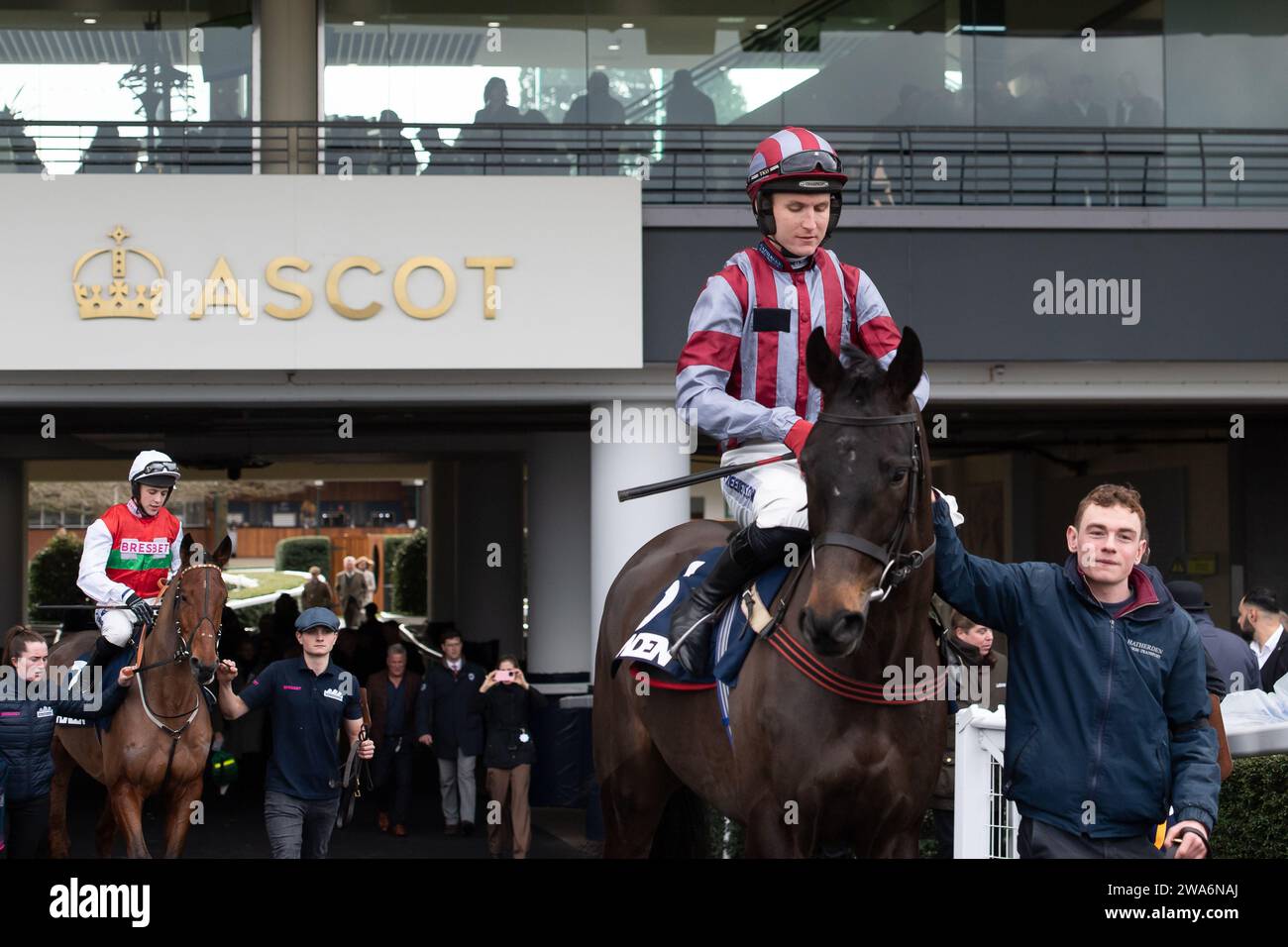 Ascot, Berkshire, Großbritannien. Dezember 2023. Horse Monks Meadow, geritten von Jockey Tom Bellamy, geht auf die Rennstrecke auf der Ascot Racecourse für das Howden Maiden Hürdenrennen am Howden Christmas Racing Weekend. Besitzer Andy & The Frisky Fillies. Trainerin Emma Lavelle, Marlborough. Sponsor Von Hatherden Horse Transport. Kredit: Maureen McLean/Alamy Stockfoto