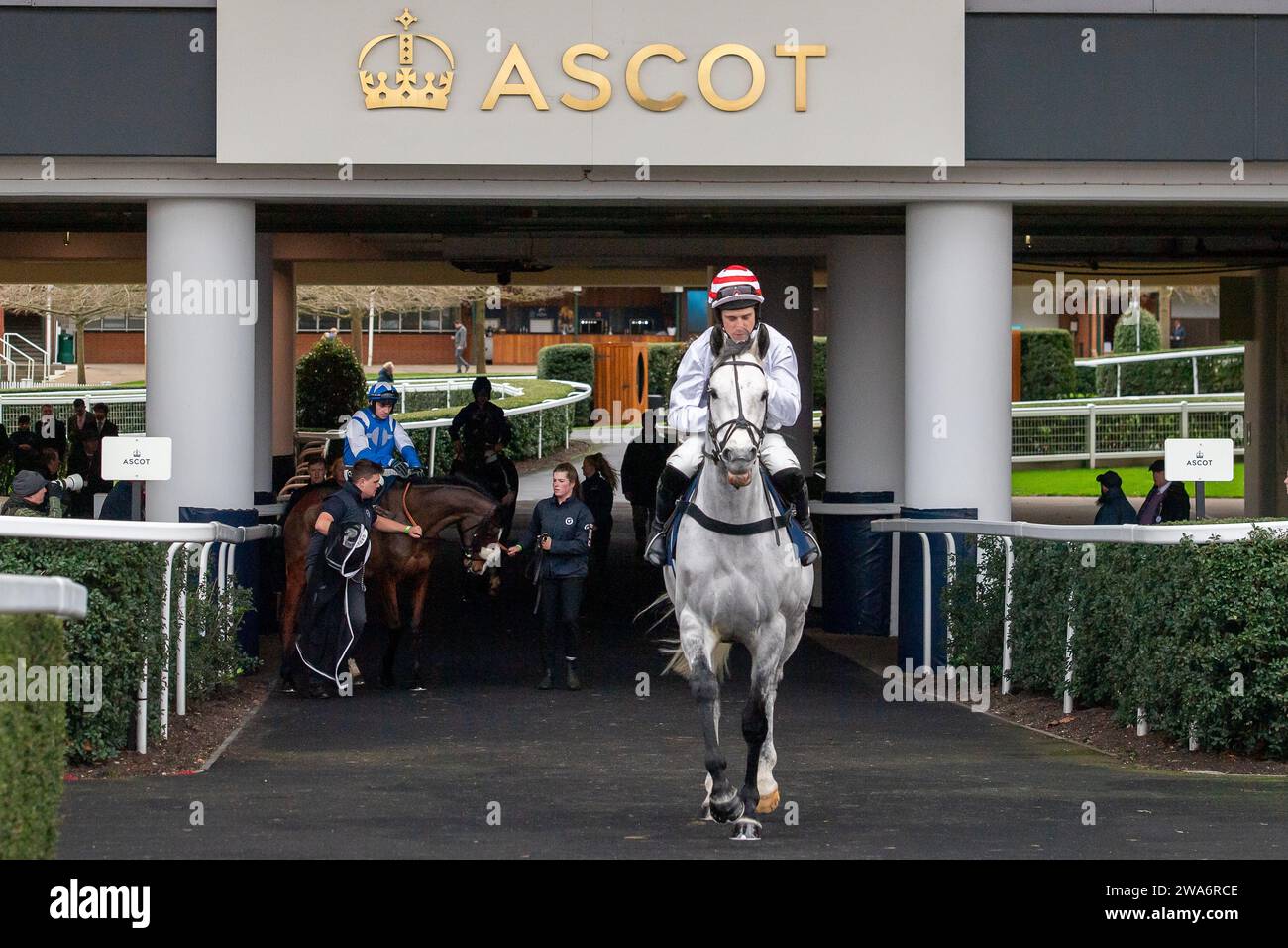 Ascot, Berkshire, Großbritannien. Dezember 2023. Jockey Harry Skelton Riding Horse Unerwartete Party macht sich am ersten Tag des Howden Christmas Racing Weekends auf die Rennstrecke auf der Ascot Racecourse auf, um die Turmjagd der Howden Noel Novices zu besuchen. Trainer Dan Skelton, Alcester. Sponsor Ashford Stud. Kredit: Maureen McLean/Alamy Stockfoto