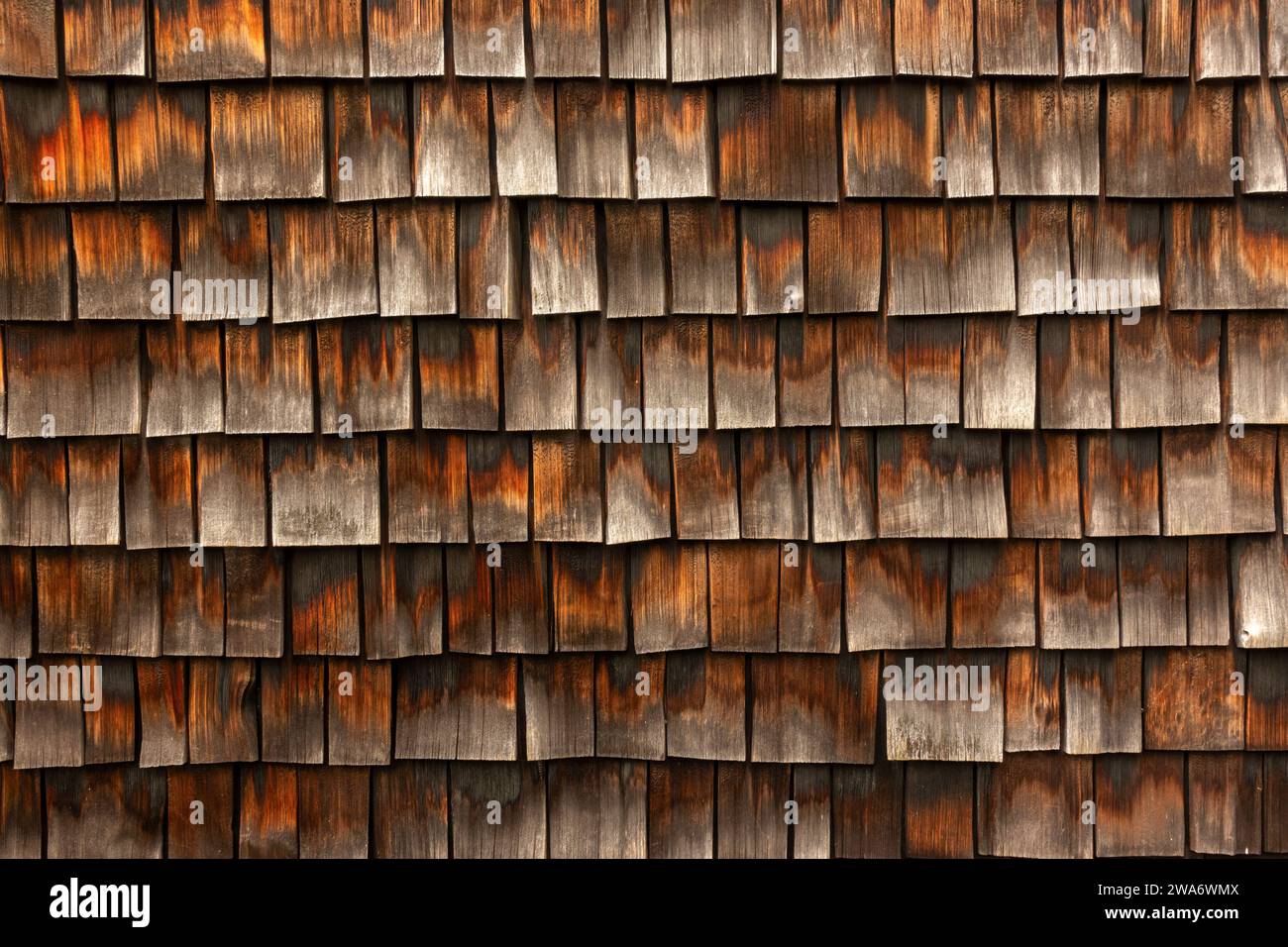 cedar zittert an einem Gebäude in Brockton, Massachusetts Stockfoto