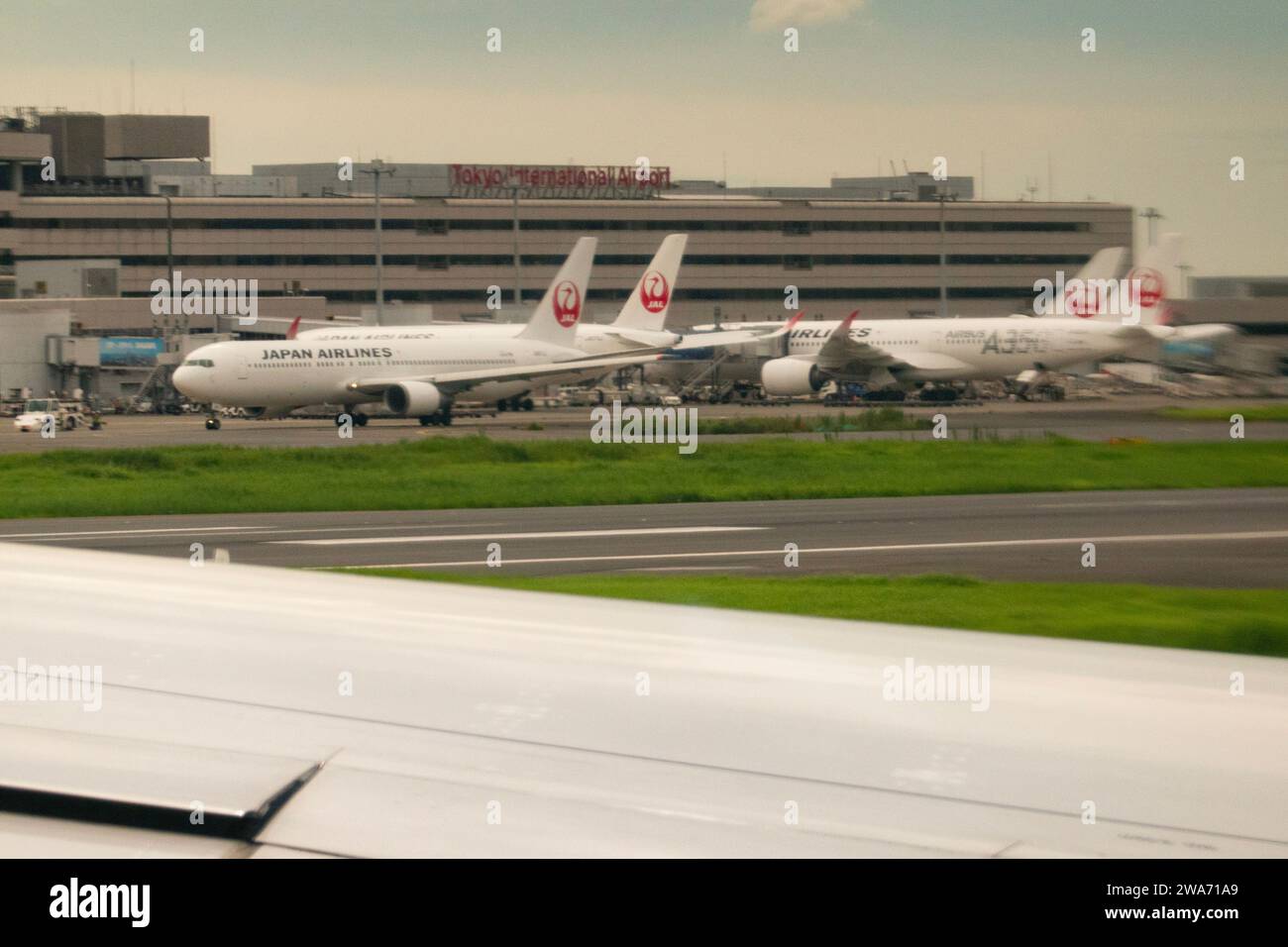 *DATEIFOTO* Tokio, Japan, 2. Januar 2024. Japan Airlines Airbus A350-941 reg JA13XJ führte den Flug JL516 von Sapporo nach Tokio durch, bei dem es zu einer Kollision mit dem Flugzeug der japanischen Küstenwache DHC-8 reg JA722A kam. Alle Passagiere des JAL Airbus wurden evakuiert. Der Unfall ereignete sich am Tokioter Flughafen Haneda. ABBILDUNG: Japan Air Lines (JAL) Airbus- und Boeing-Flugzeuge am Stand am Terminal 1 des internationalen Flughafens Haneda. Foto Datum: 7. September 2023. Quelle: Colin D Fisher Stockfoto