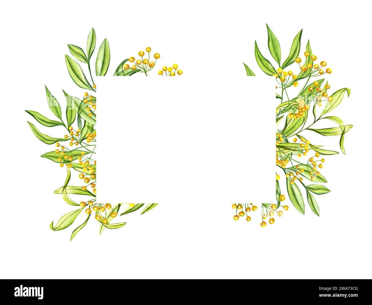Horizontaler Rahmen mit grünen Blättern und gelben Blüten. Wilde Frühlingskräuter. Kopierbereich für Text. Aquarellabbildung. Zur Begrüßung, Einladung Stockfoto
